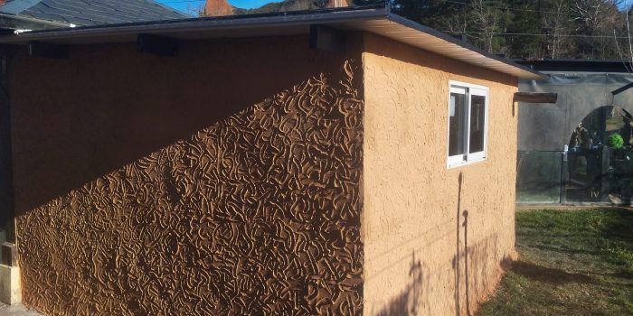 WhatsApp Image 2025-02-19 at 11asas.54.32